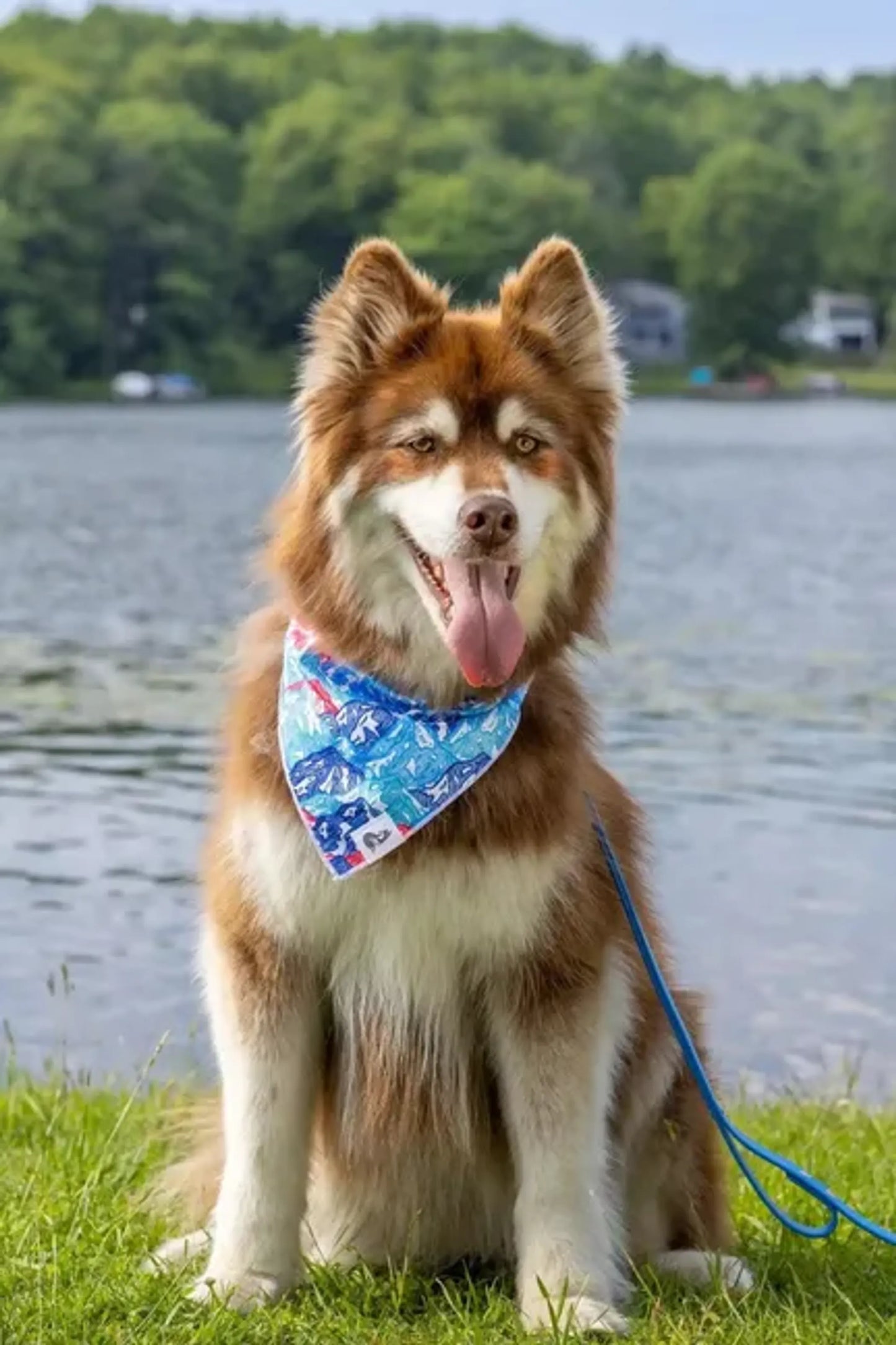 Painted Peaks Dog Bandana