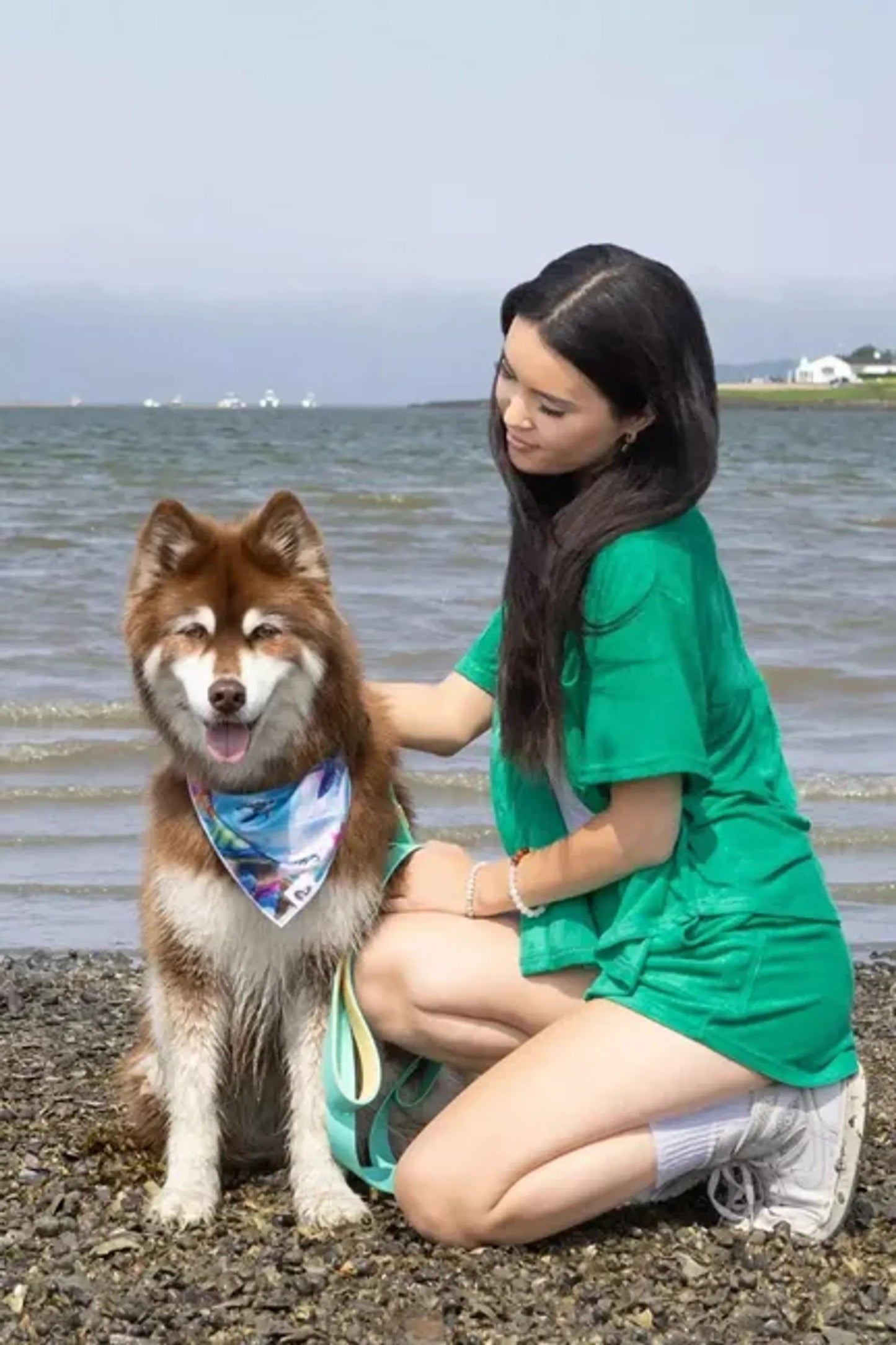 Sea Turtle Swim Dog Bandana