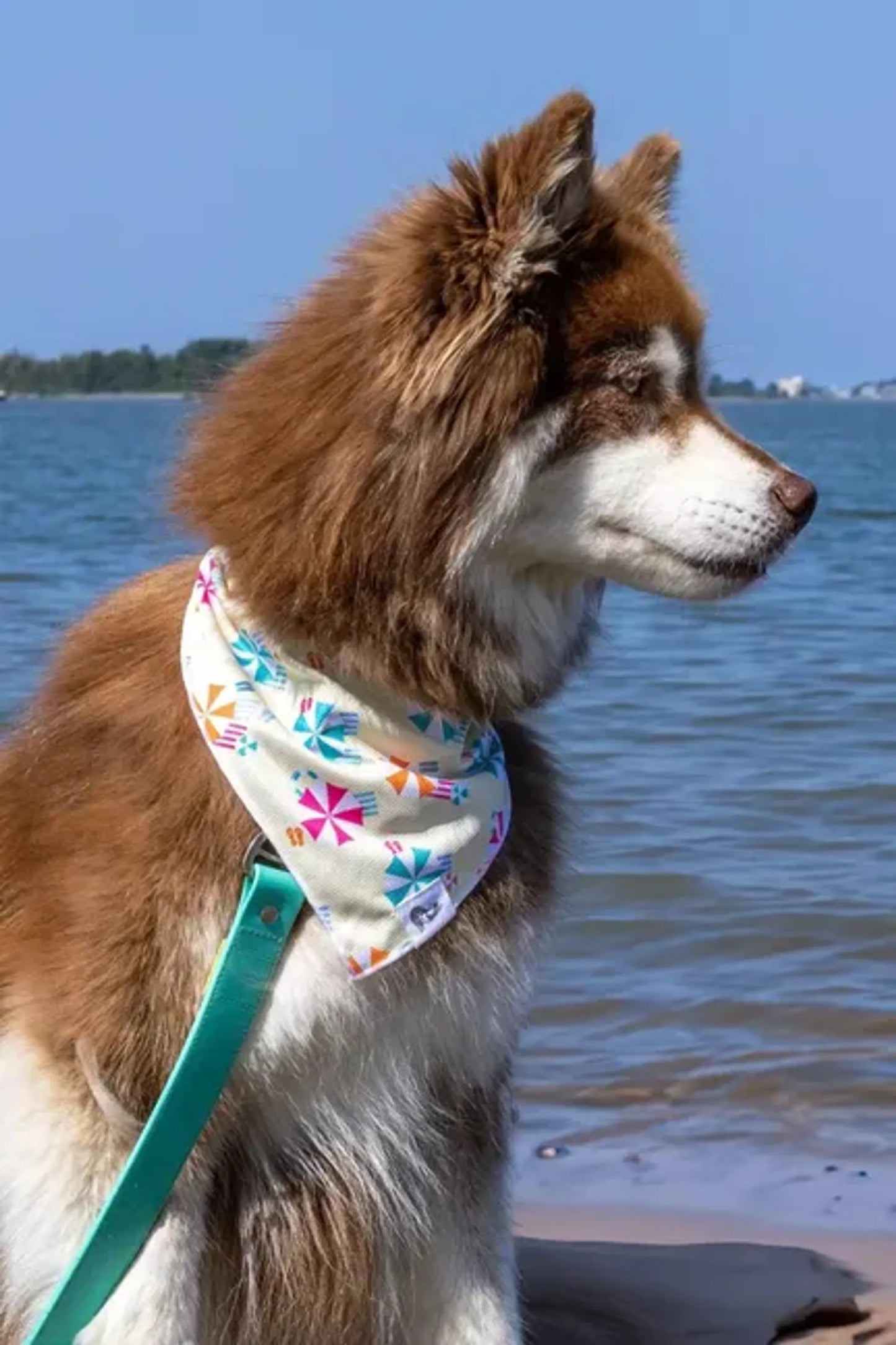 Sun & Shade Dog Bandana