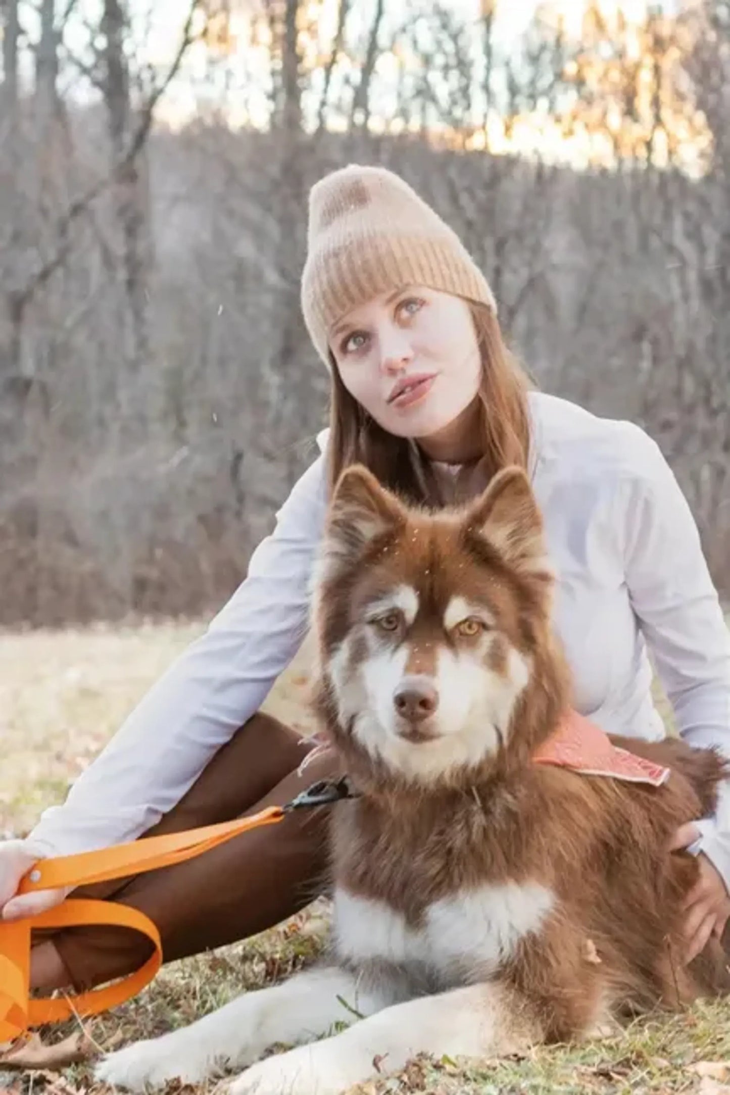 Twilight Trails Dog Bandana