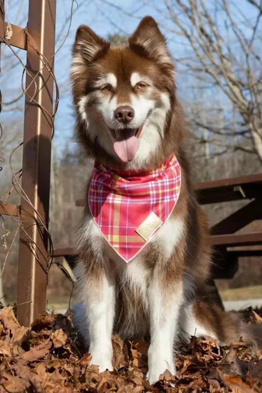 Wine Plaid Dog Bandana