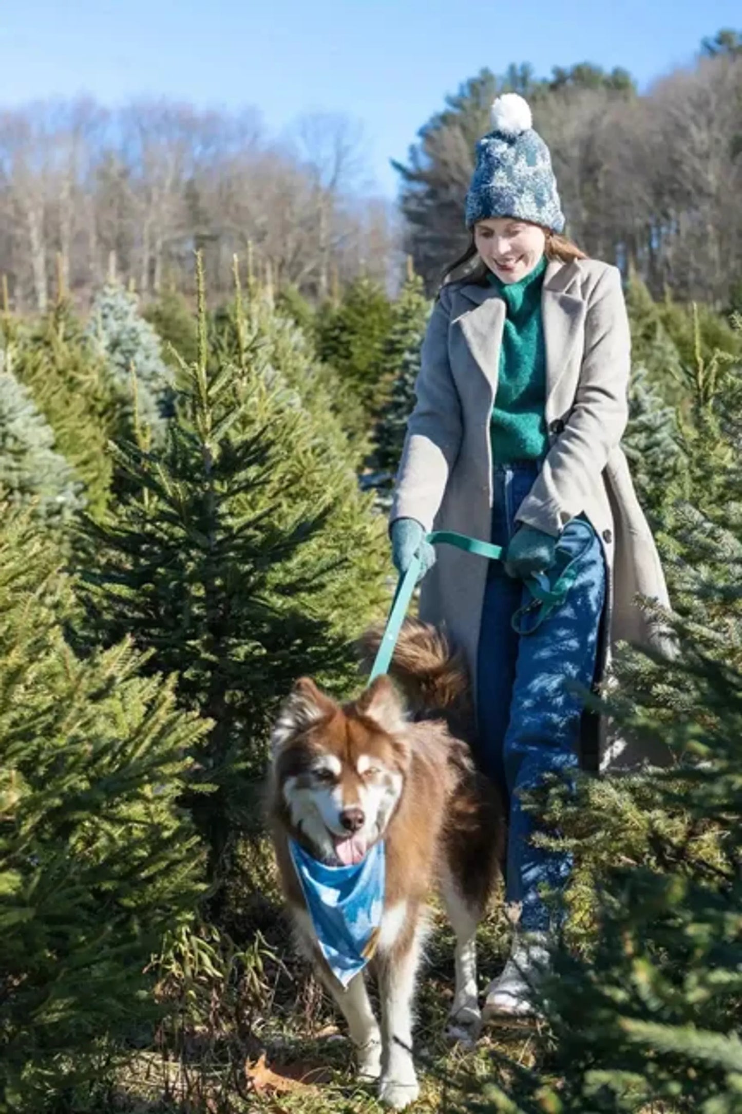 Siberian Spruce Dog Bandana