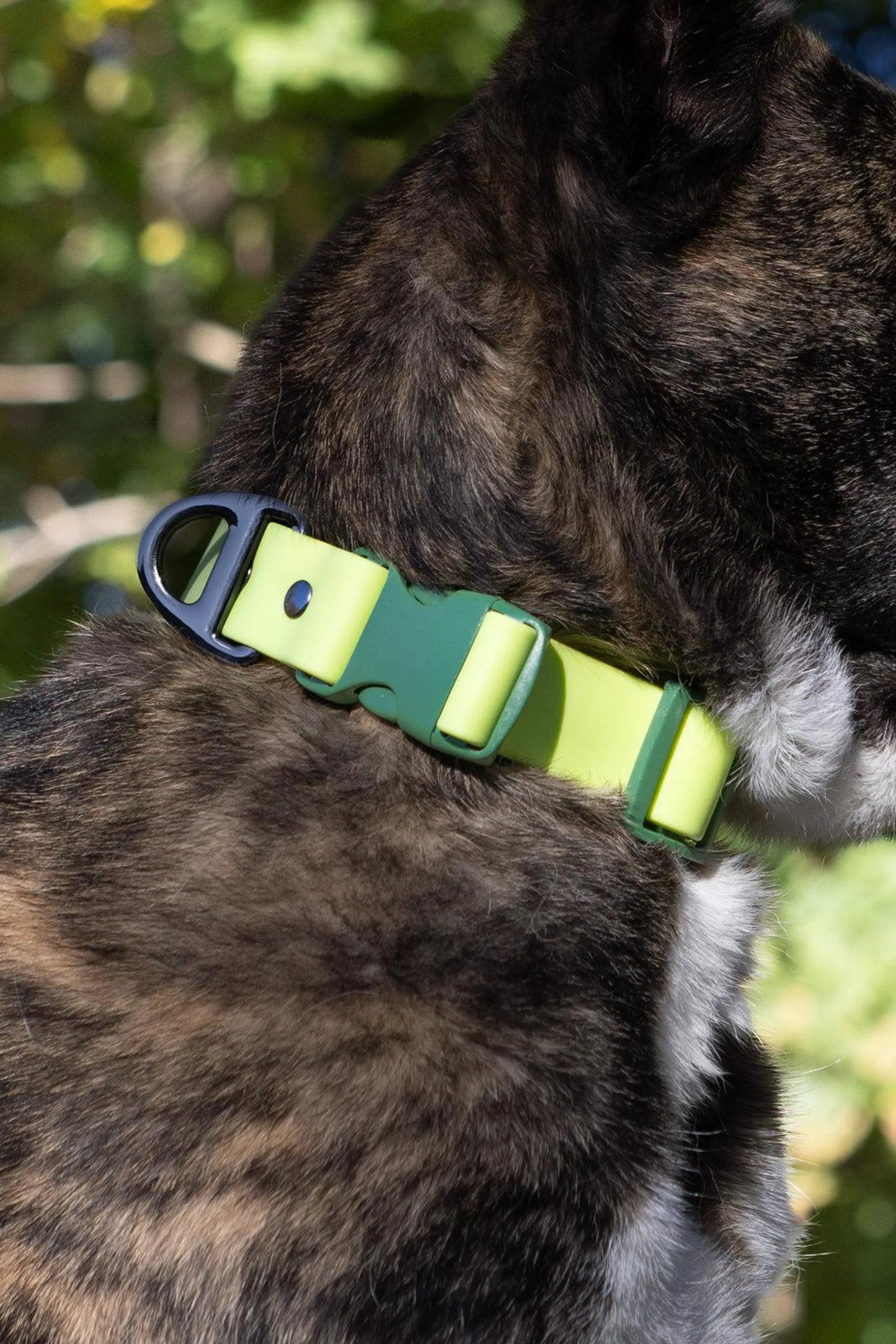 Mossy Pine Waterproof Dog Collar