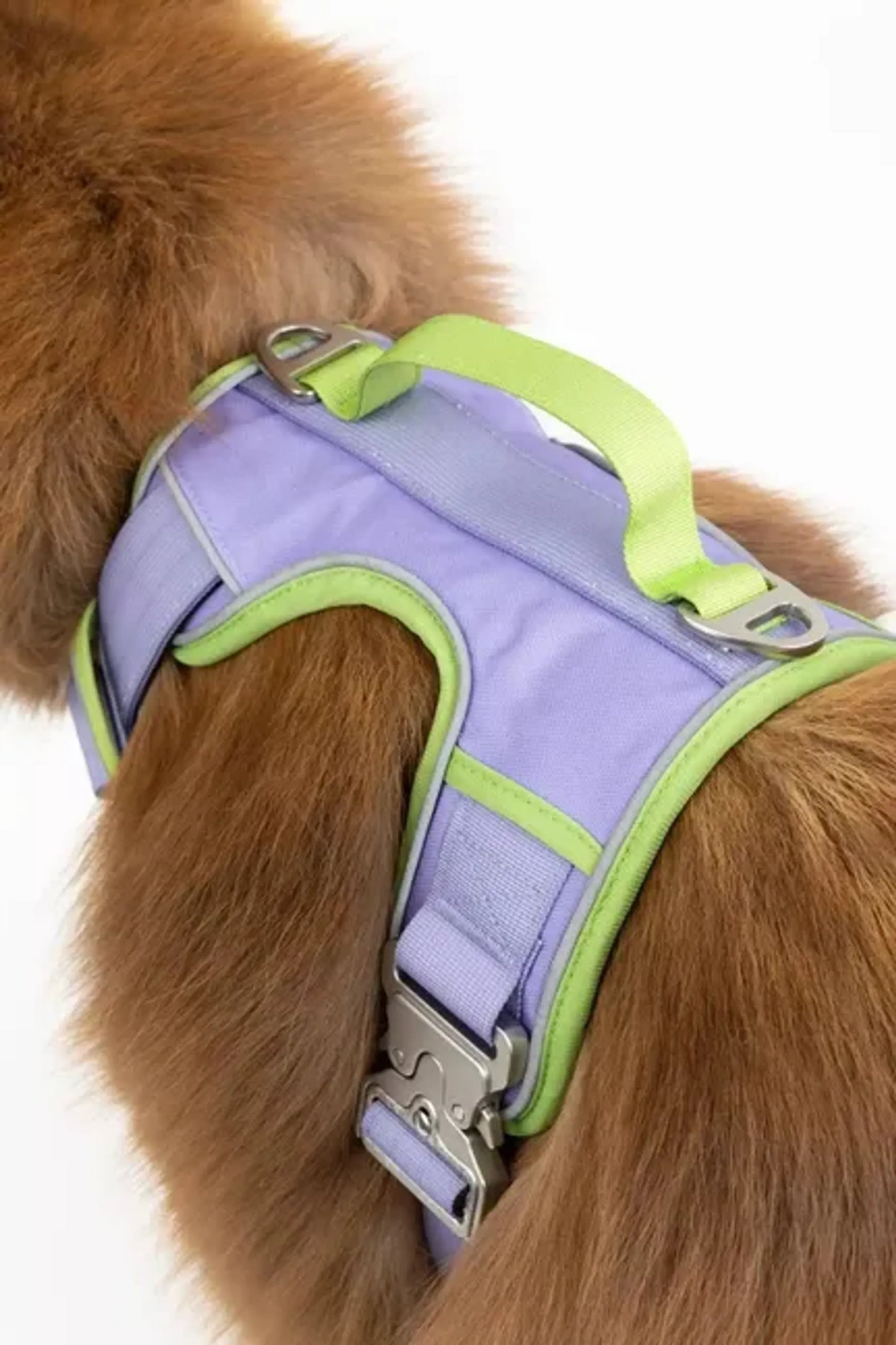 Lavender Garden Ultimate Dog Harness