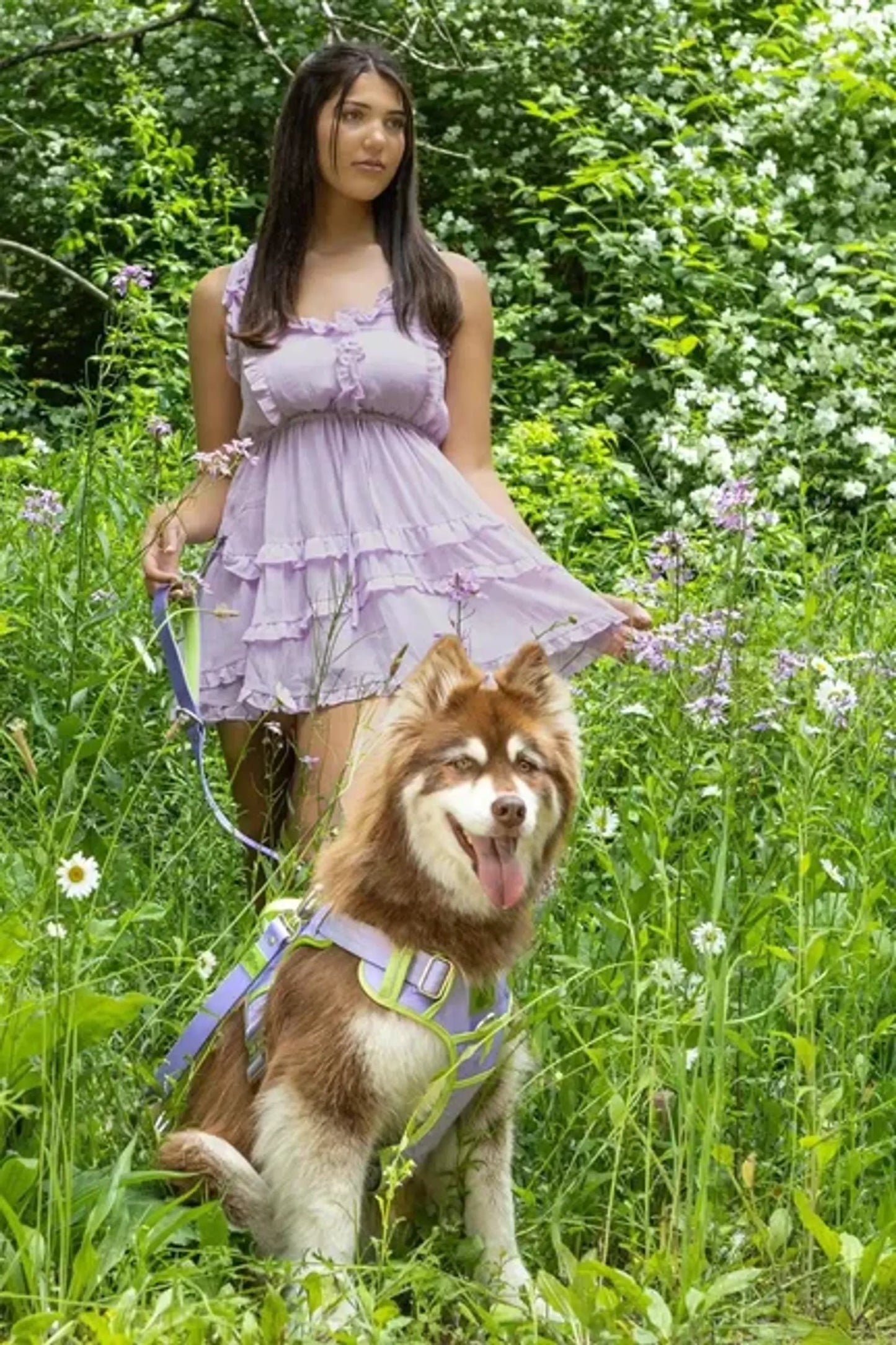 Lavender Garden Ultimate Dog Harness