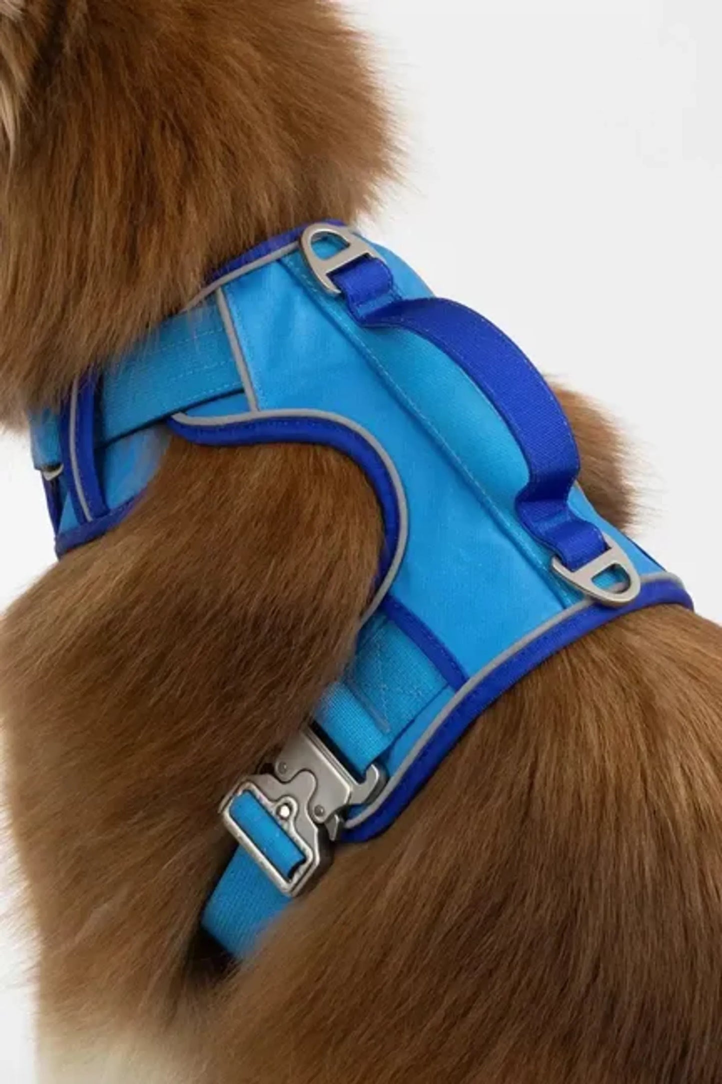 Dockside Adventures Ultimate Harness