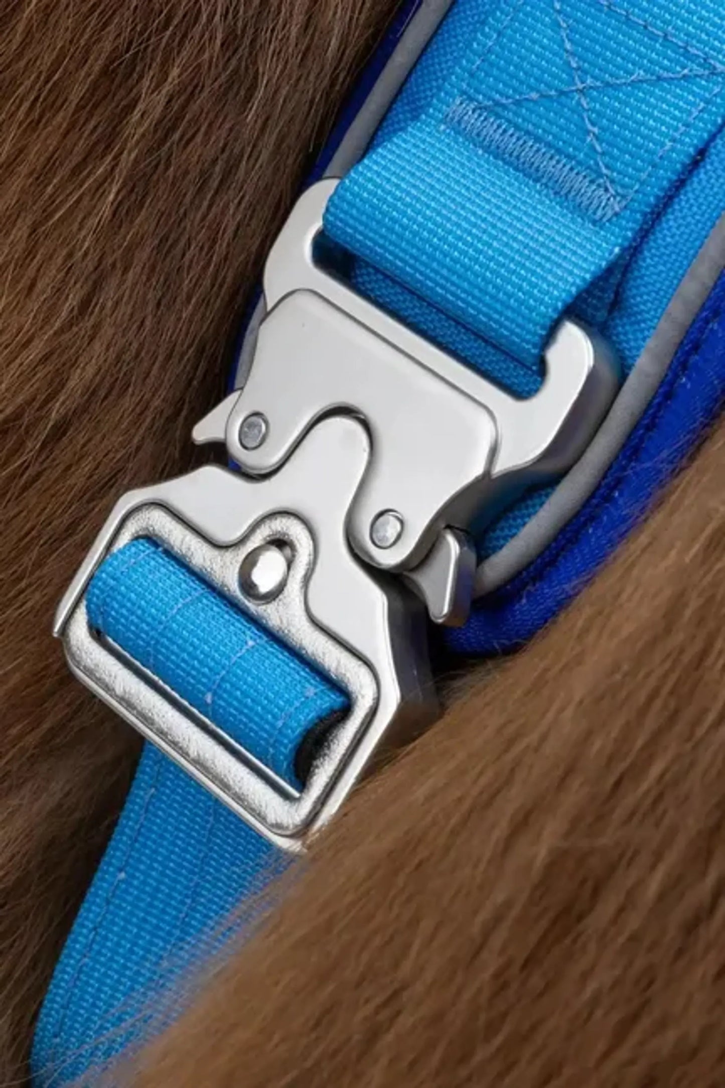 Dockside Adventures Ultimate Harness