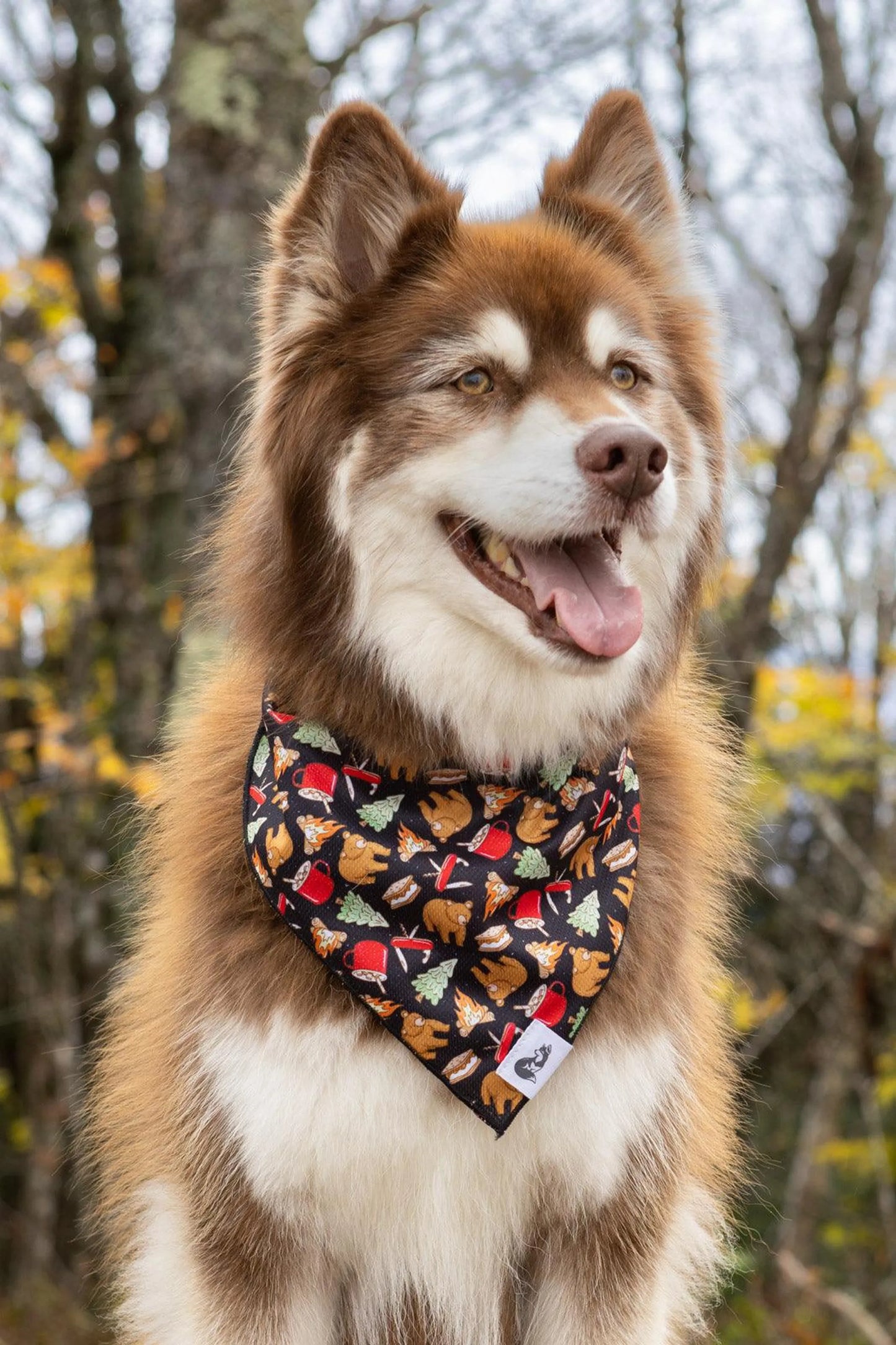 Woodland Tales Dog Bandana & Matching Keychain