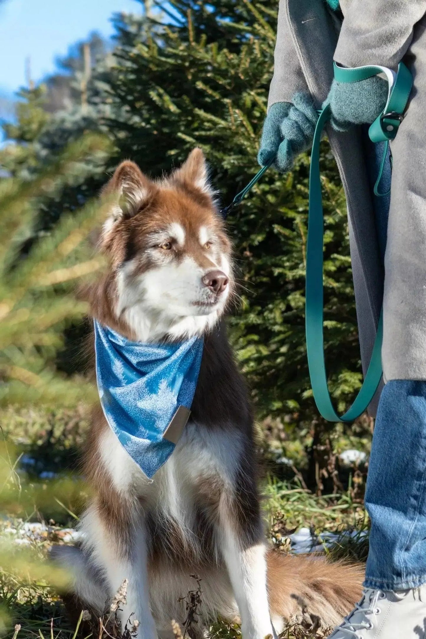 Siberian Spruce Dog Bandana & Matching Keychain