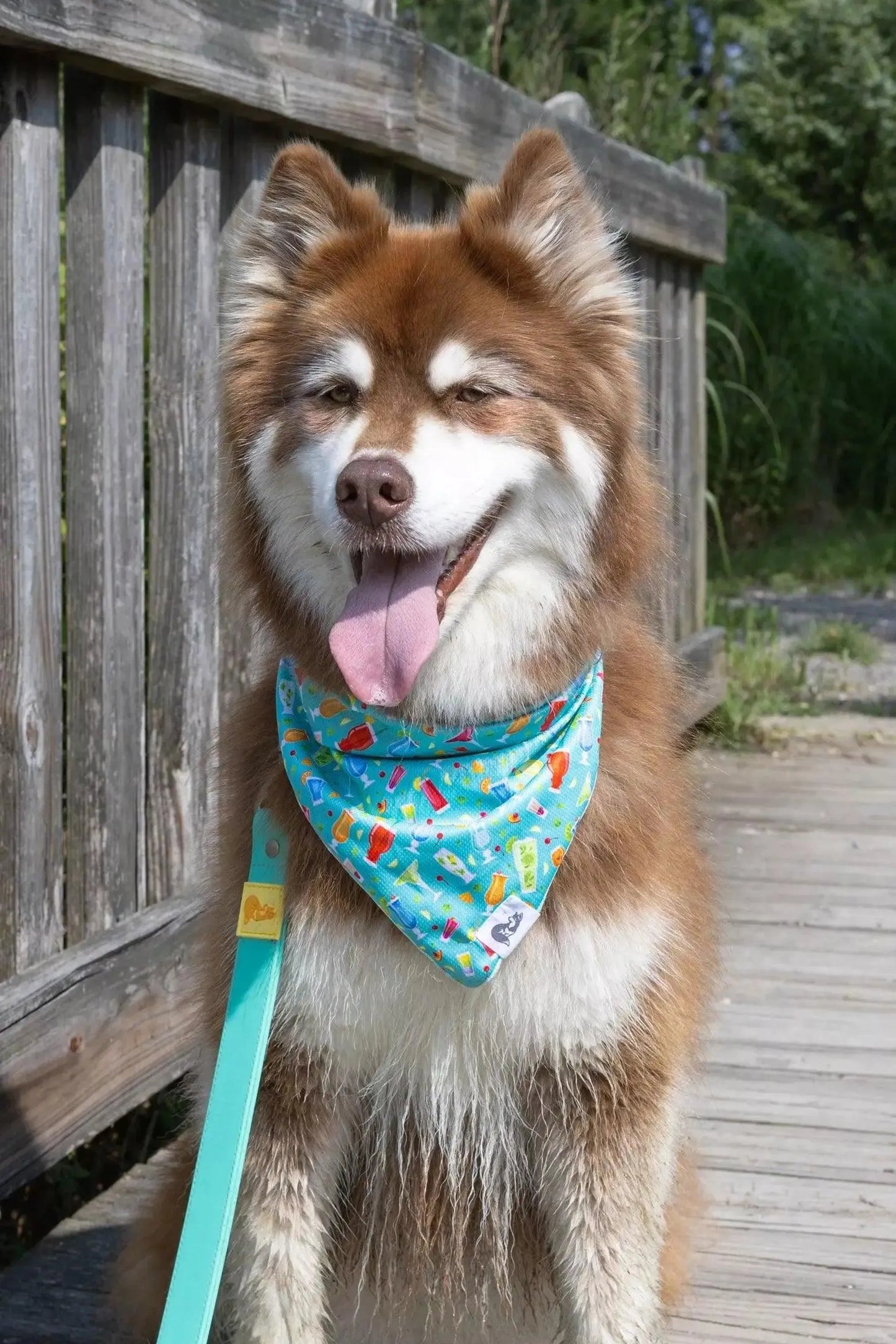 Seaside Sips Dog Bandana & Matching Keychain