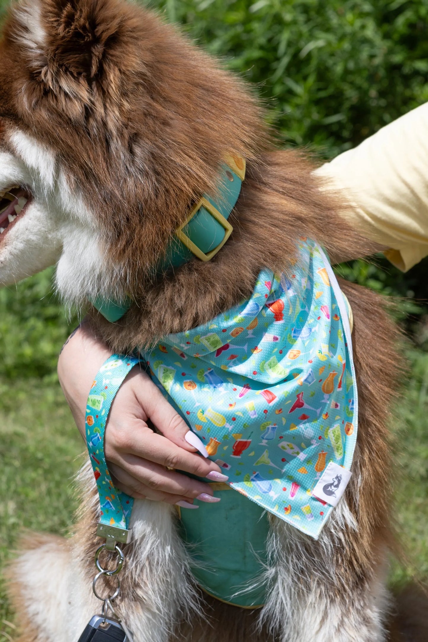 Seaside Sips Dog Bandana & Matching Keychain