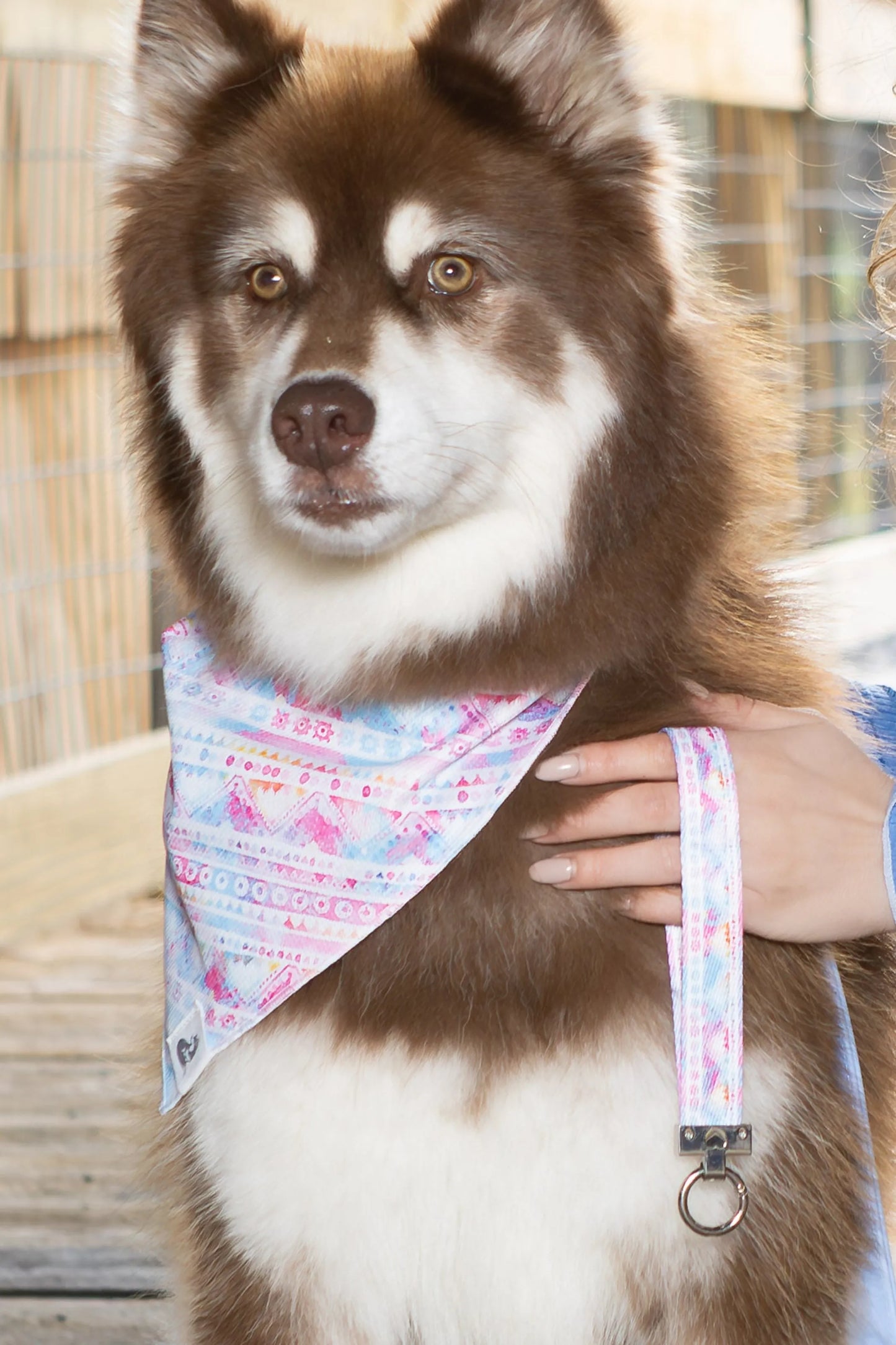 Pink and Blue Tribal Dog Bandana & Matching Keychain