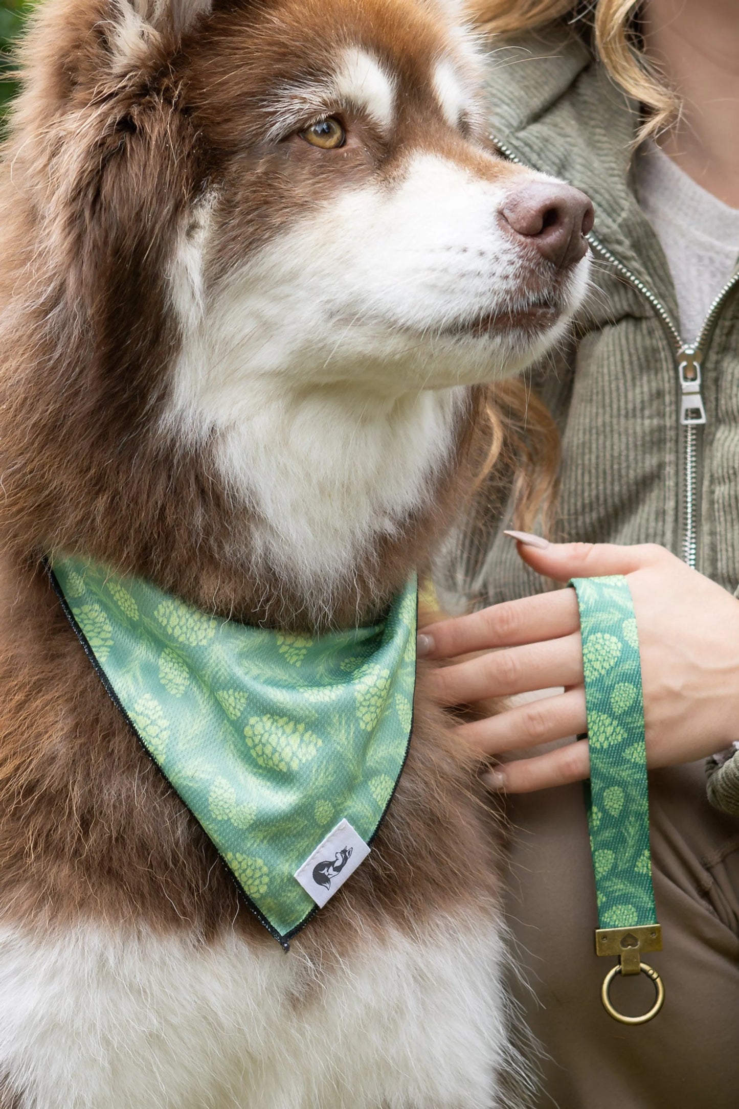 Pine Cone Pup Bandana & Matching Keychain