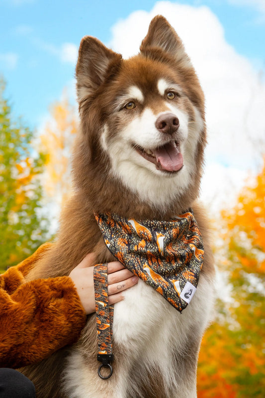 Foxes in Fall Dog Bandana & Matching Keychain