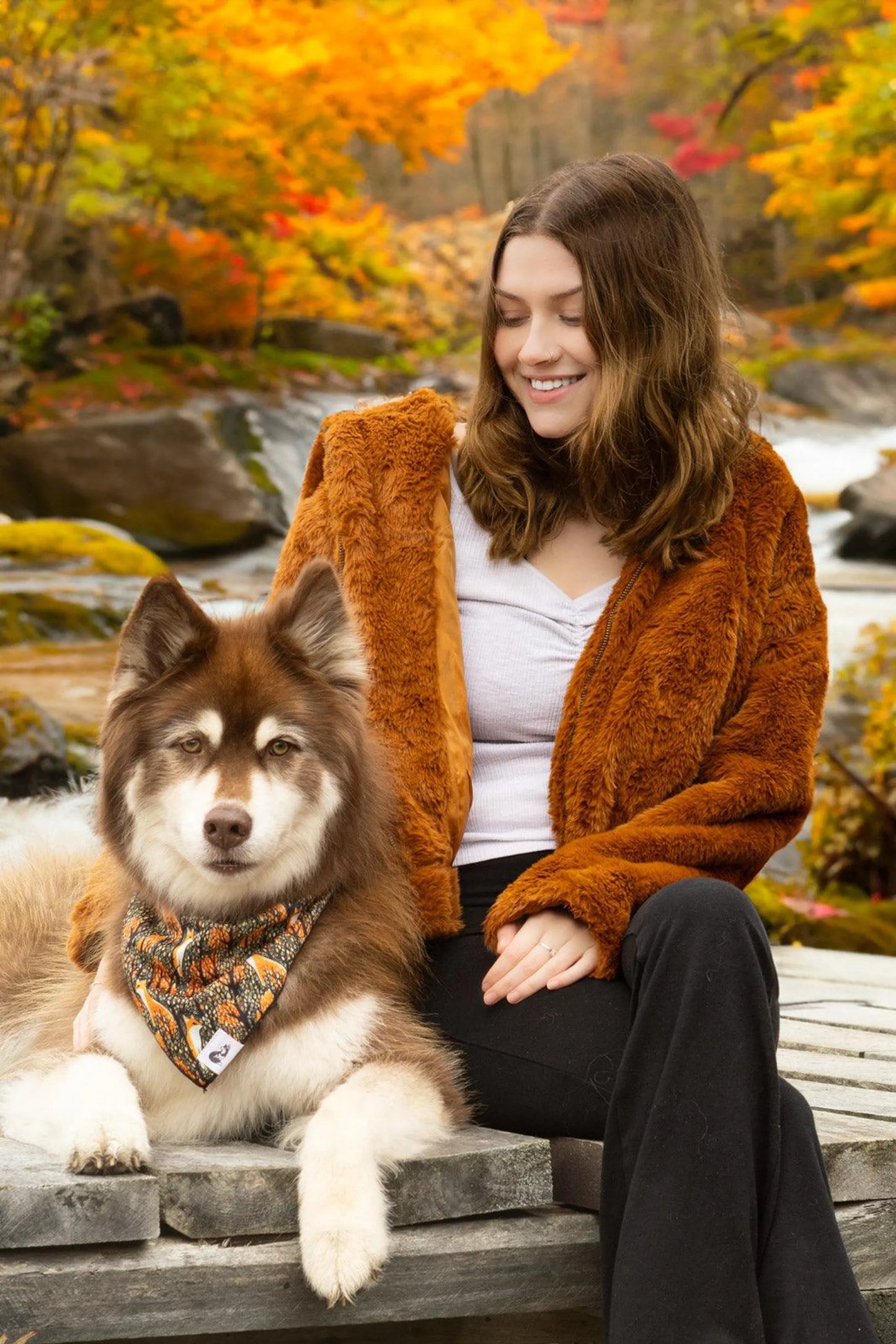 Foxes in Fall Dog Bandana & Matching Keychain