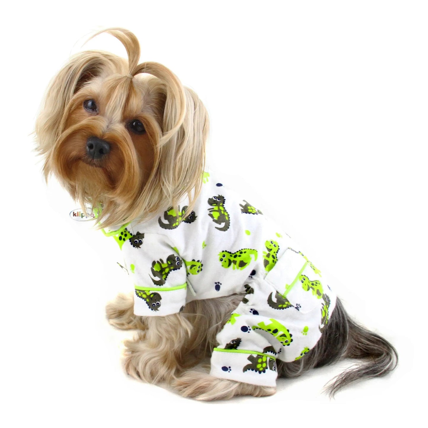 Playful Dinosaur Flannel Pajamas