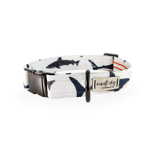 Shark! Buckle & Martingale Dog Collar - Pack Of: 1