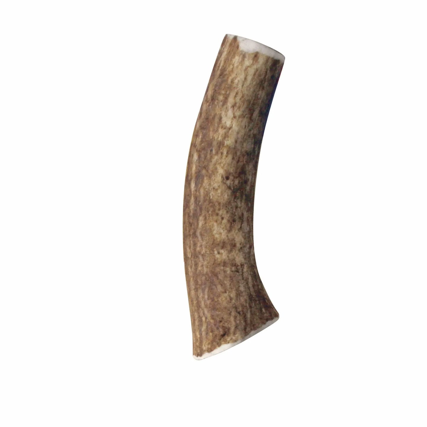 KONG(R) Wild Antler Whole