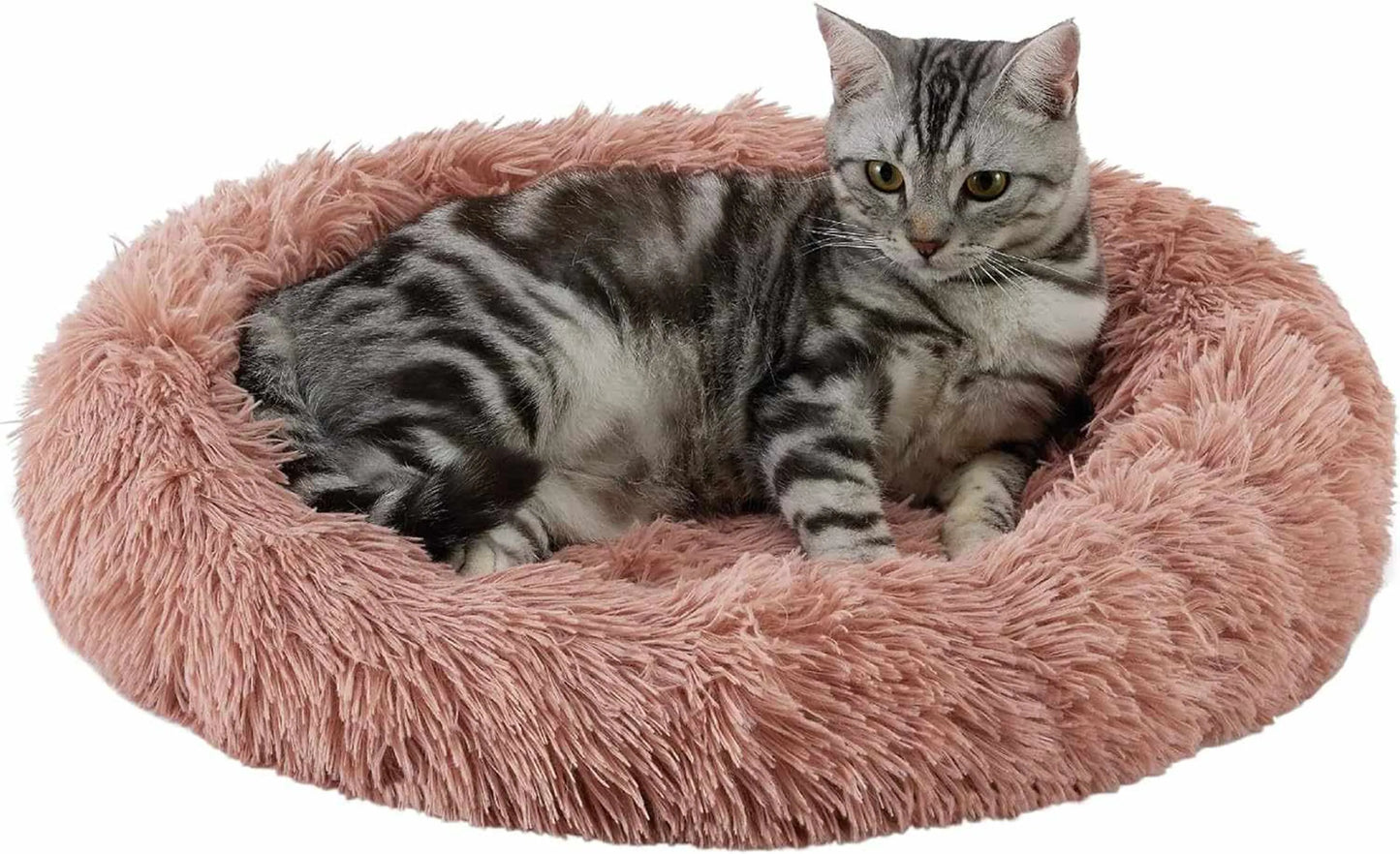 Best Friends by Sheri Cat Donut Bed