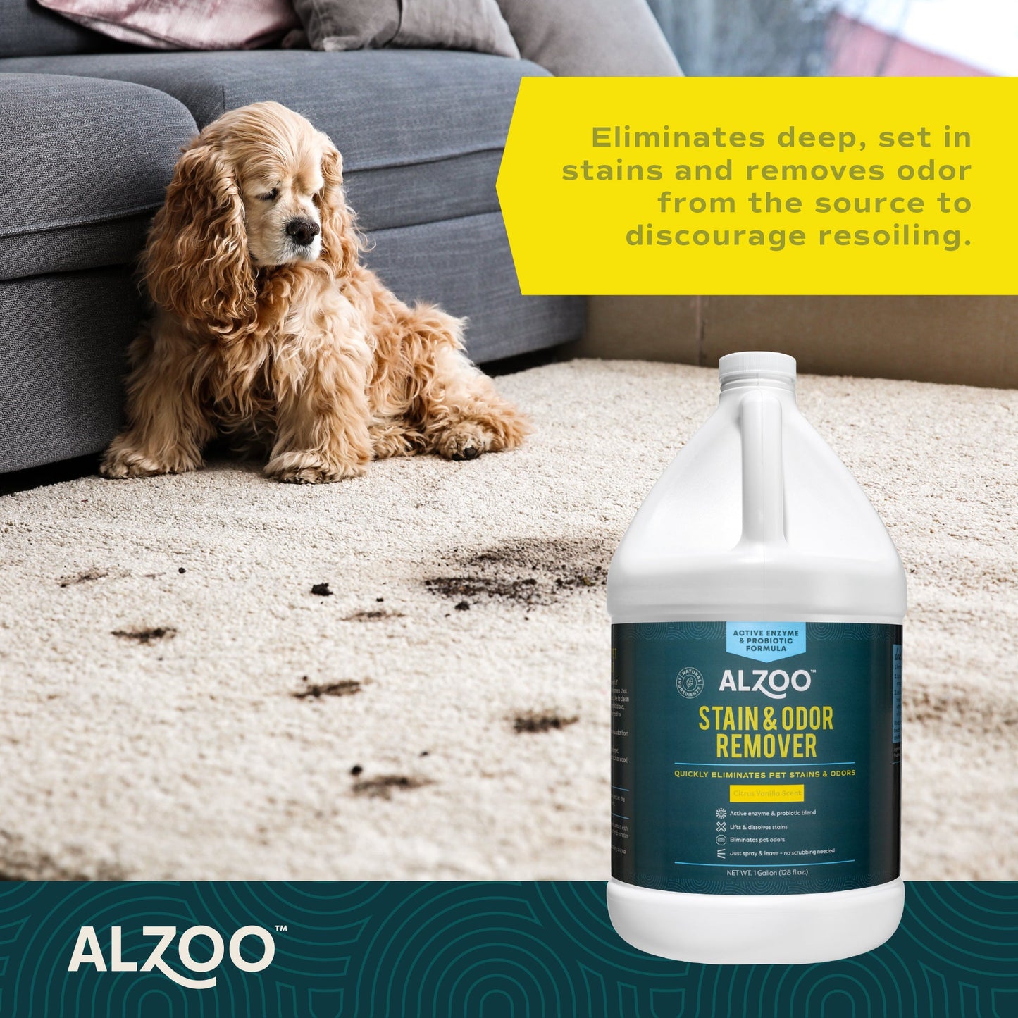 Alzoo Stain & Odor Remover Citrus Vanilla 1gal.