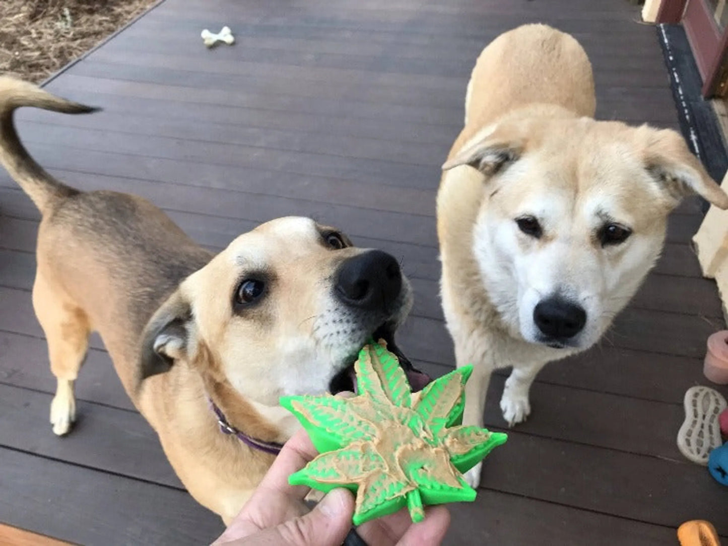 MKB Colorado Maple Leaf Durable Nylon Dog Chew Toy for Aggressive Chewers