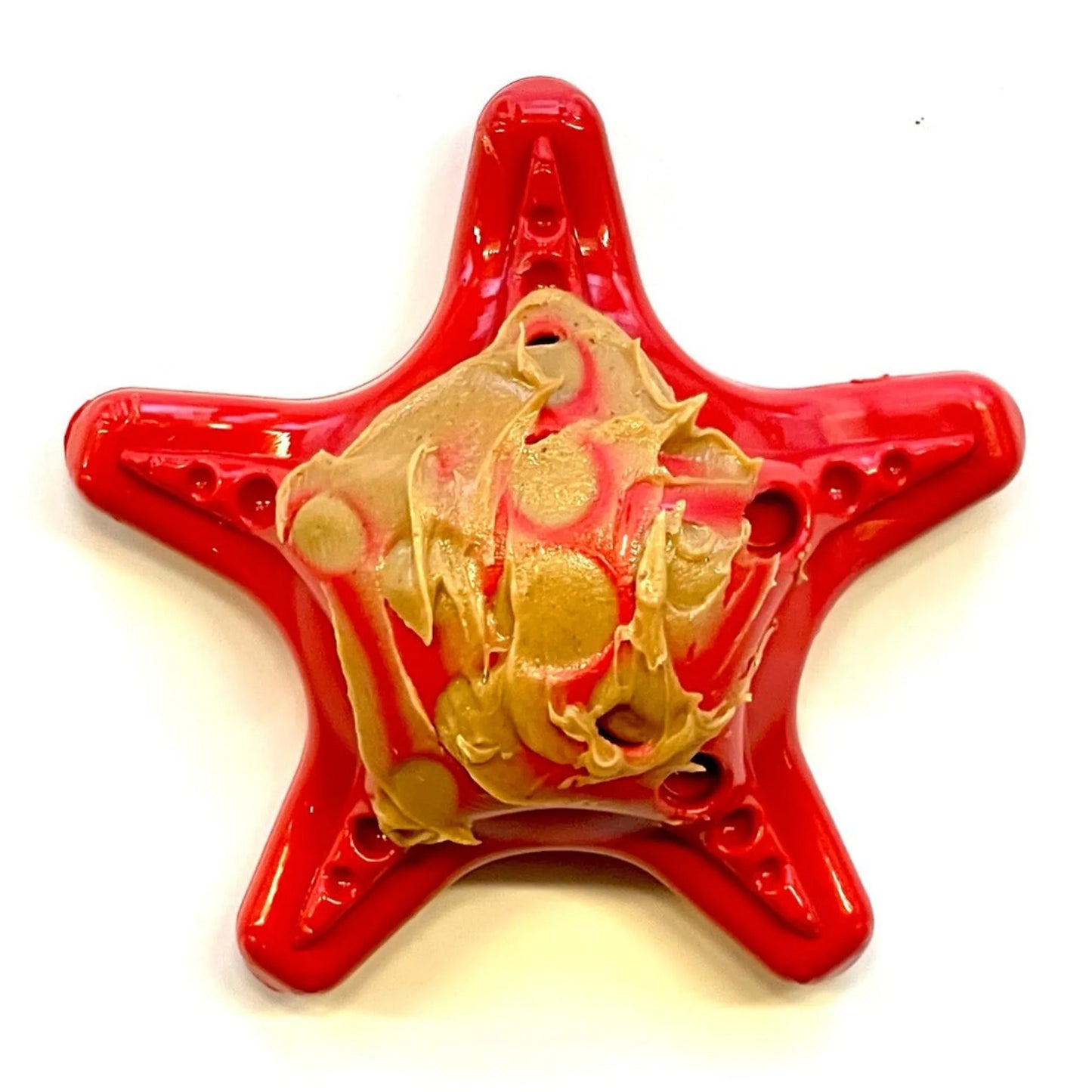 Starfish Ultra Durable Nylon Dog Chew Toy for Aggressive Chewers