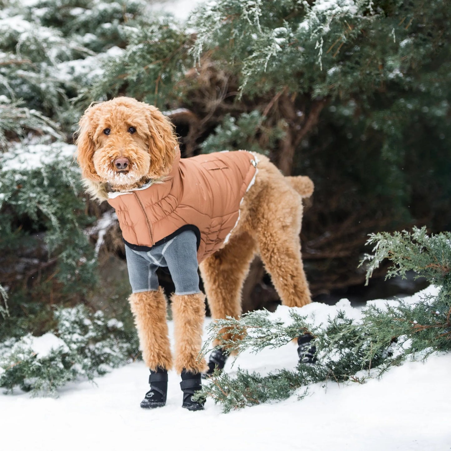 GF Pet ElastoFit Urban Dog Parka