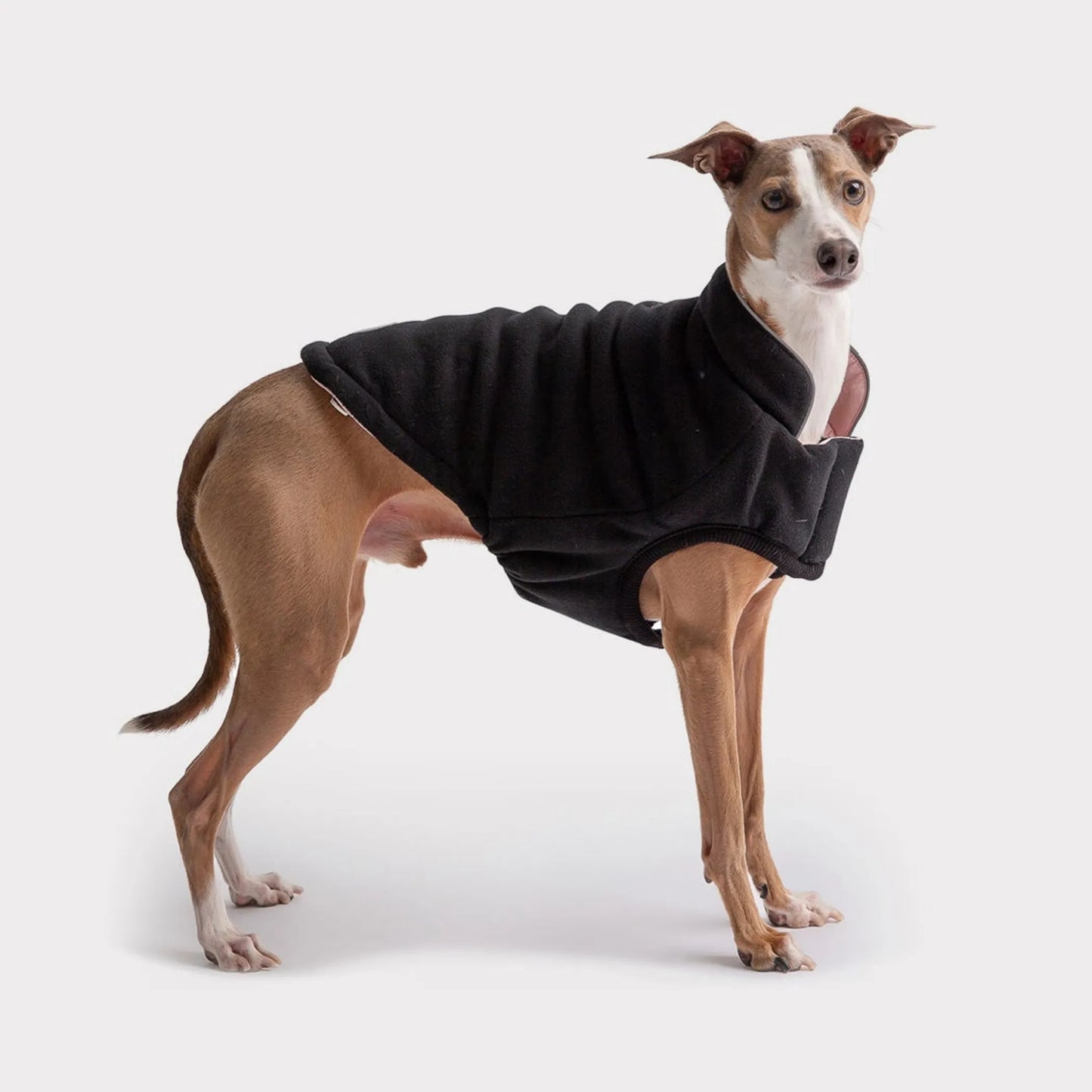 GF Pet Reversible Elasto-Fit Chalet Jacket