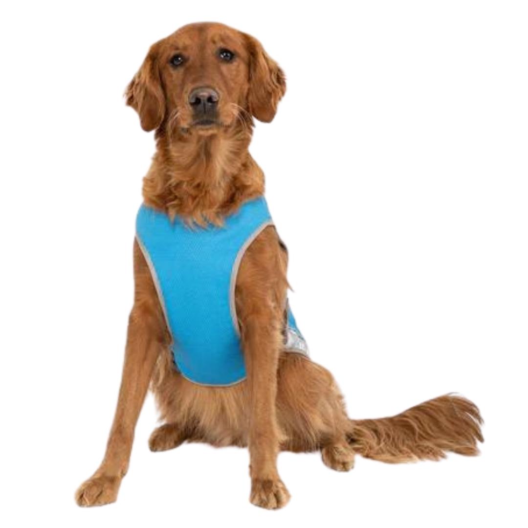 Canada Pooch Dog Cooling Vest Aqua 14