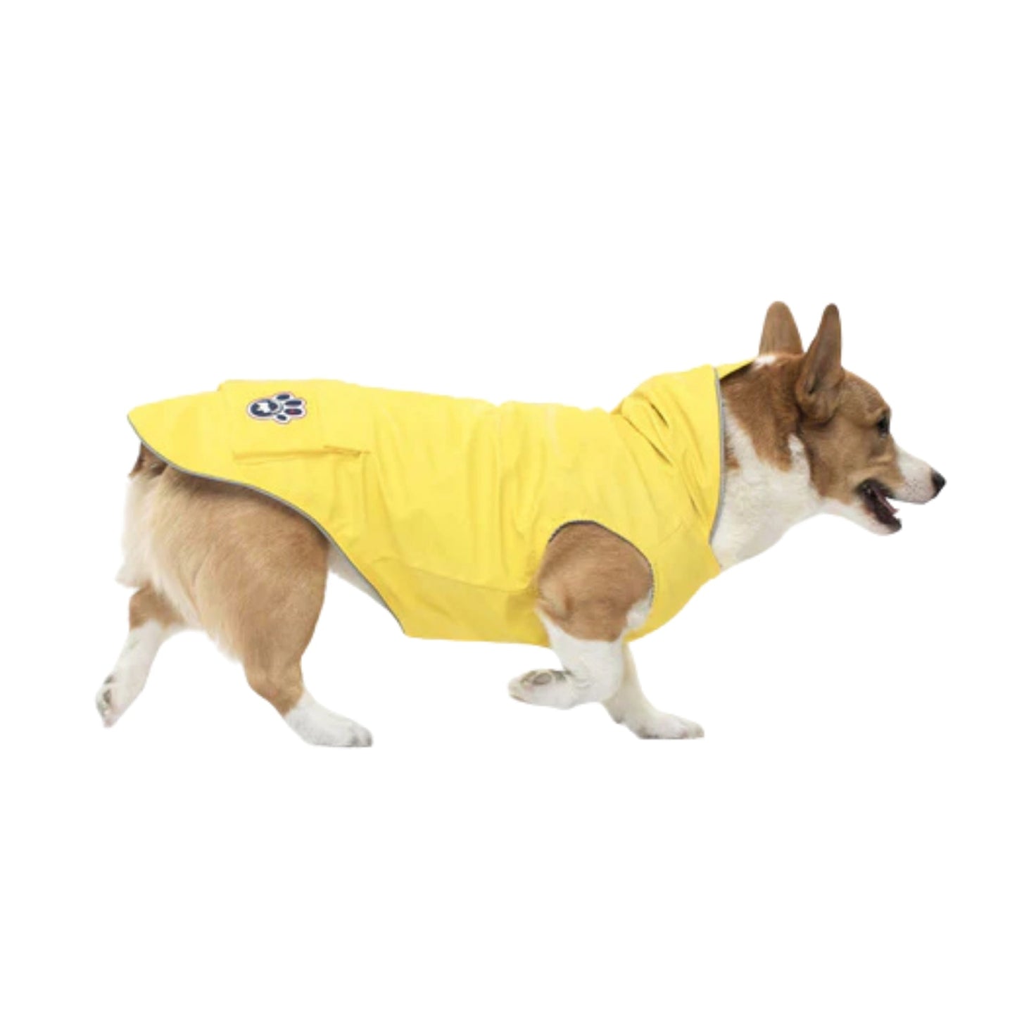 Canada Pooch Dog Torrential Tracker Yellow 22