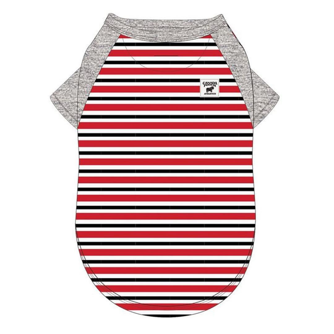 Canada Pooch Dog Henley Tee Stripe 8