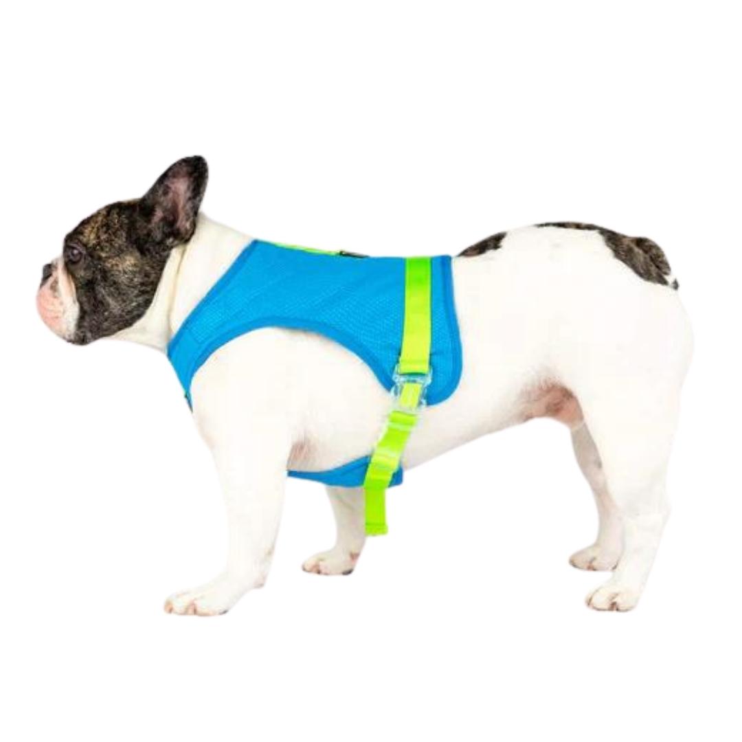 Canada Pooch Dog Cooling Harness Blue 14