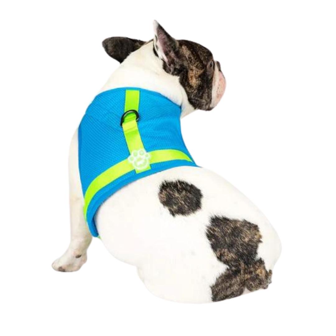 Canada Pooch Dog Cooling Harness Blue 14