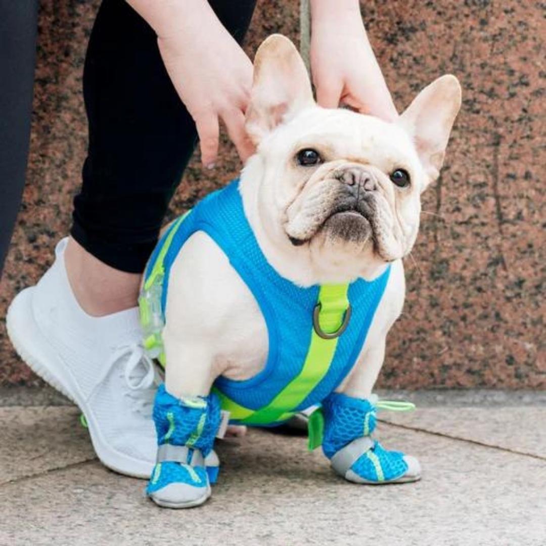 Canada Pooch Dog Cooling Harness Blue 14