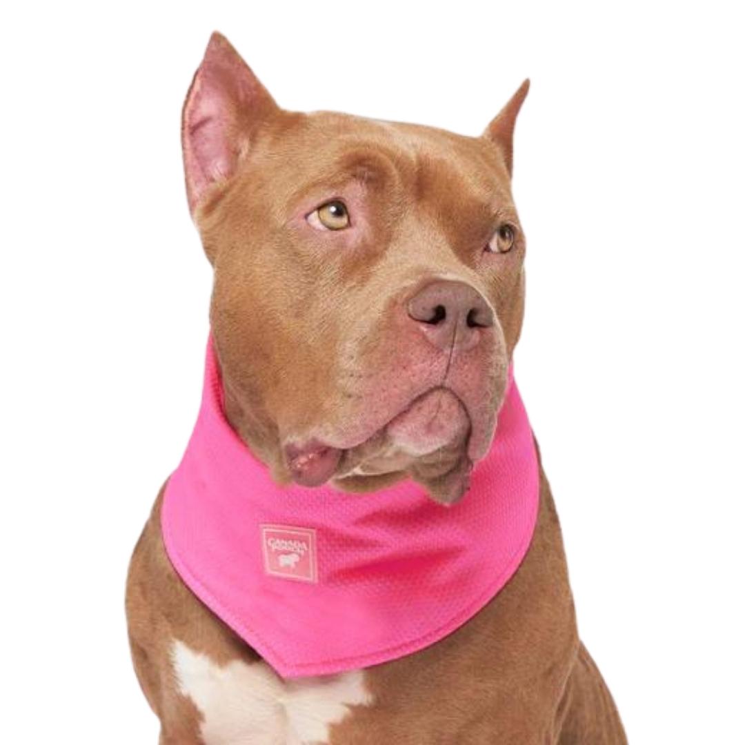 Canada Pooch Dog Cooling Bandana Neon Pink SM