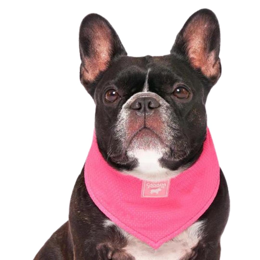 Canada Pooch Dog Cooling Bandana Neon Pink SM