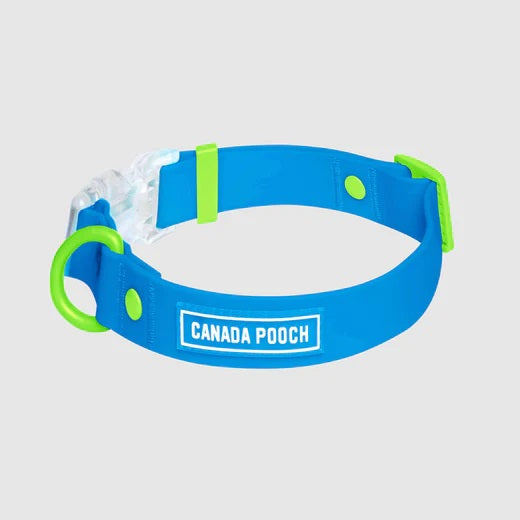 Canada Pooch Dog Waterproof Collar Blue Small