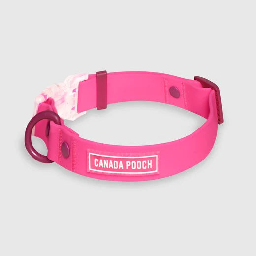 Canada Pooch Dog Waterproof Collar Pink Large