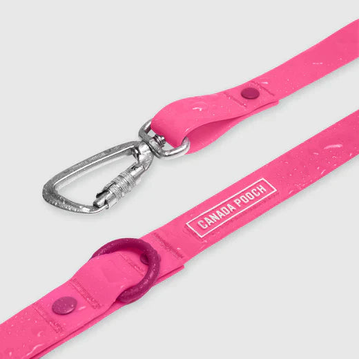 Canada Pooch Dog Waterproof Leash Pink L/Xl