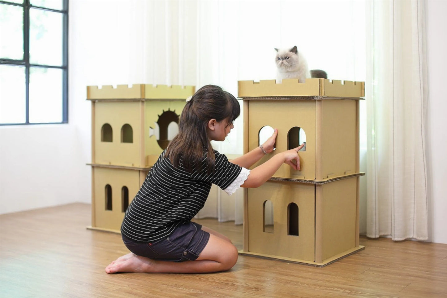 London Bridge Cat House