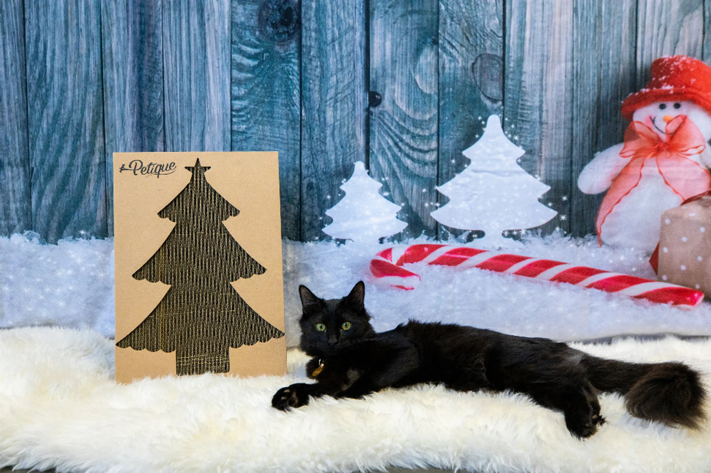 Christmas Cat Scratch Board