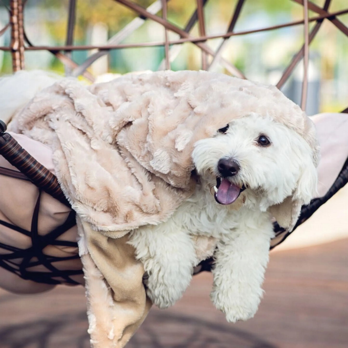 Velvet Blanky Pet Blanket