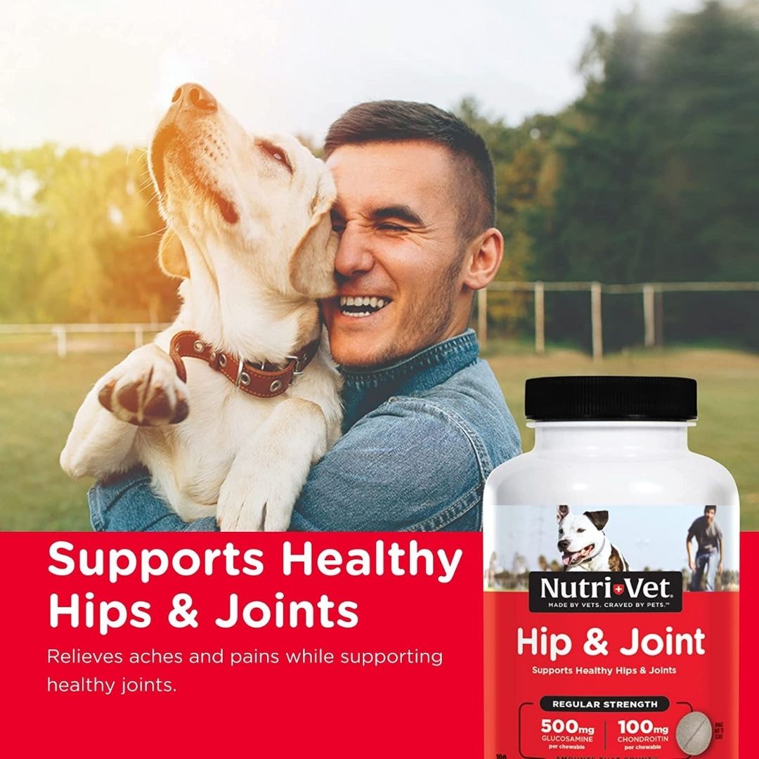 Nutri-Vet Hip & Joint Early Care Liver Chewables 1ea/180 ct