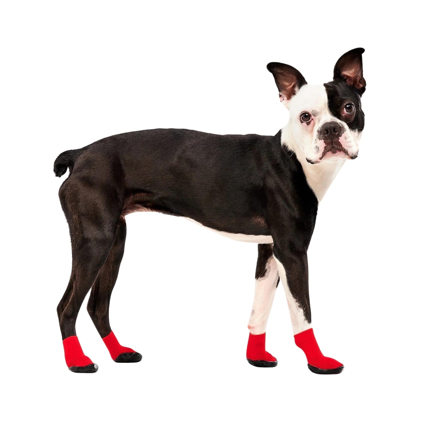 Goo-Eez Athleticaz Dog Boots Black/Red Large 2Pk