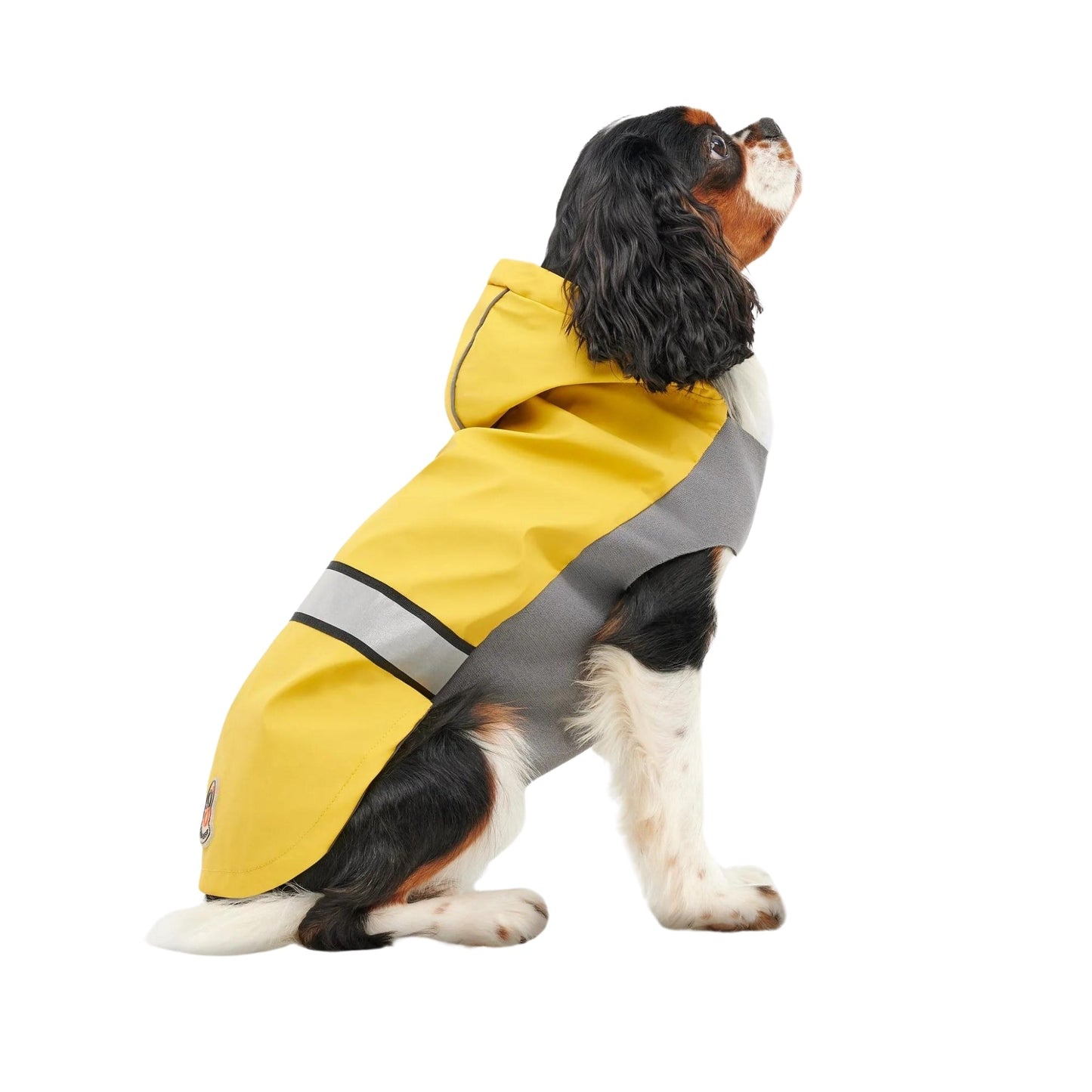 Goo-Eez Reflective Hooded Raincoat Yellow/Gray XSmall