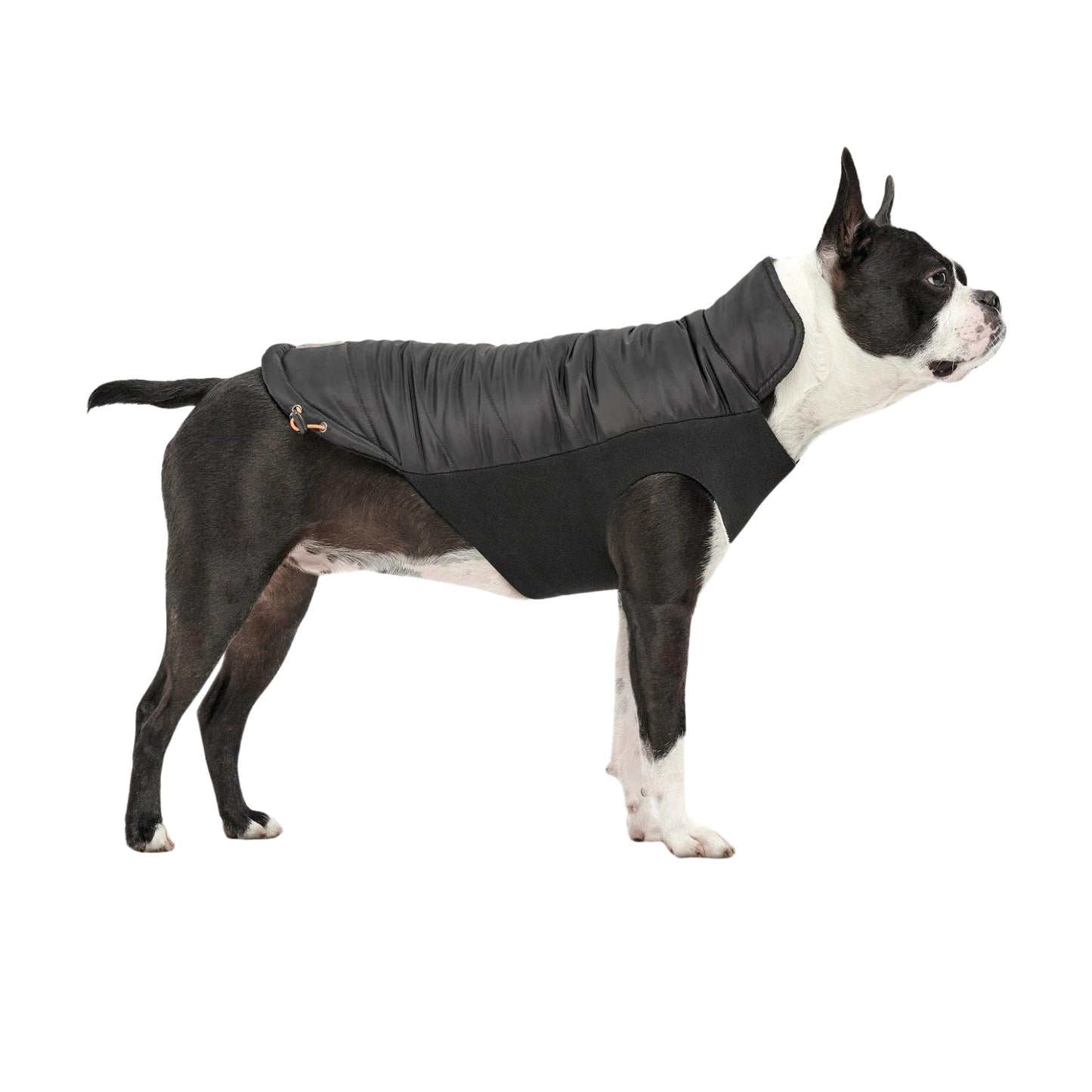 Goo-Eez Mock Neck Signature Dog Jacket Black XSmall