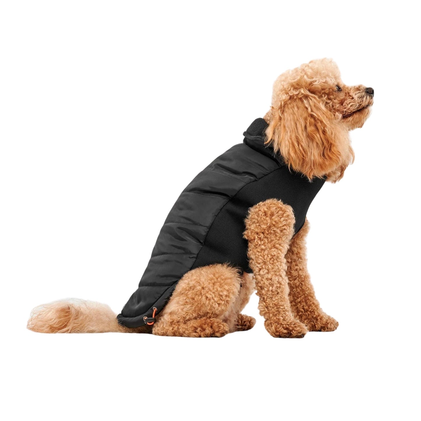 Goo-Eez Mock Neck Signature Dog Jacket Black XLarge