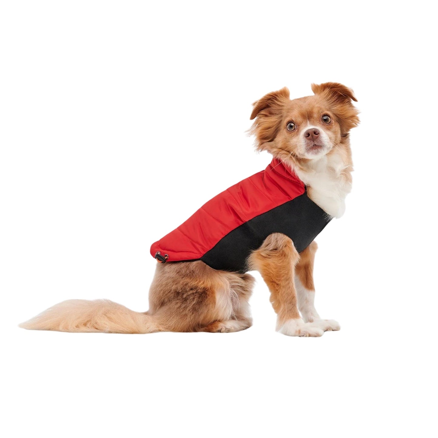 Goo-Eez Mock Neck Signature Dog Jacket Red/Black Small