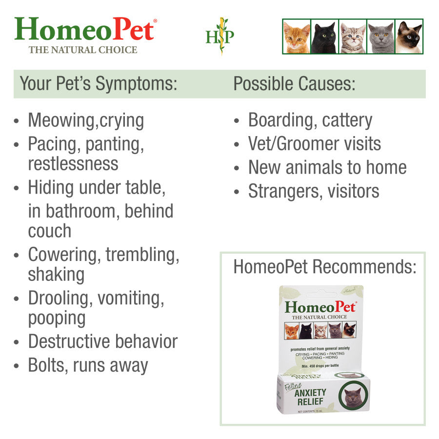 HomeoPet Feline Anxiety Relief Drops 1ea/15 ml