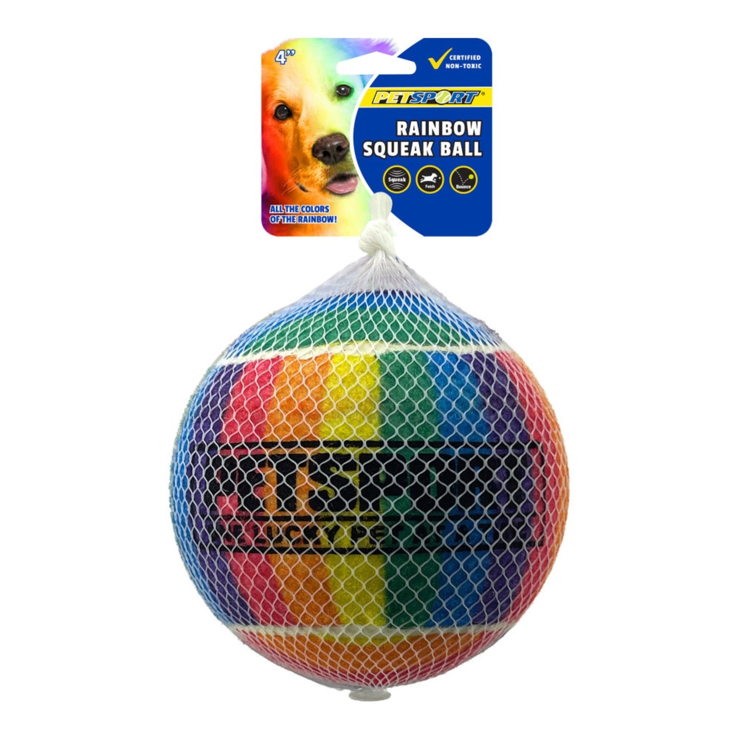 Petsport USA Rainbow Squeak Ball Dog Toy 1ea/4 in, 1 pk